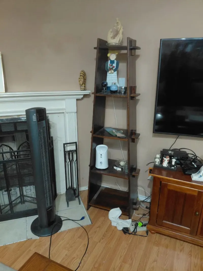 Wooden ladder shelf, tower fan, flat screen TV, fireplace tools and cabinet